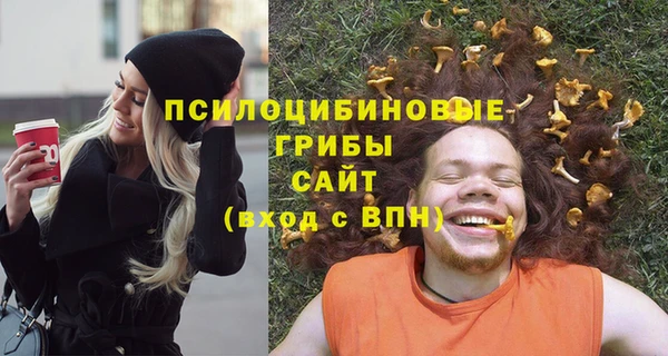 соль ск Алексеевка