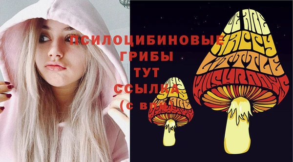 соль ск Алексеевка
